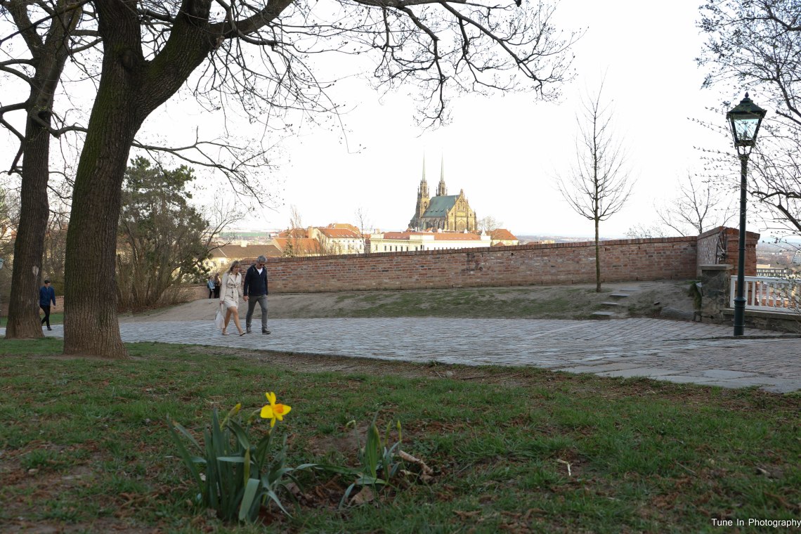 46. Brno springtime